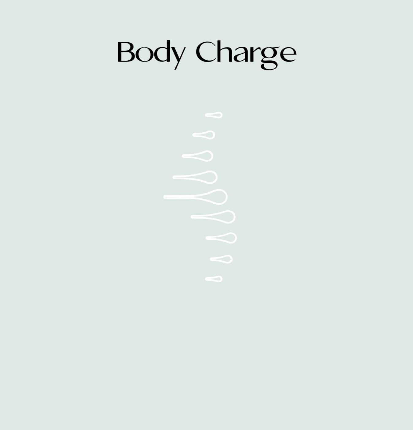 Body Charge